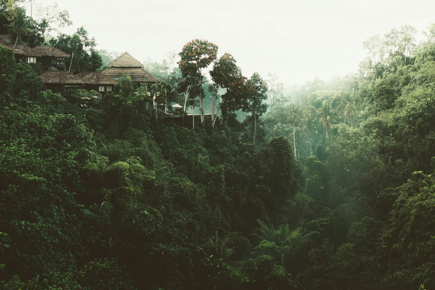 Edificios tradicionales entre árboles en una ladera tropical.