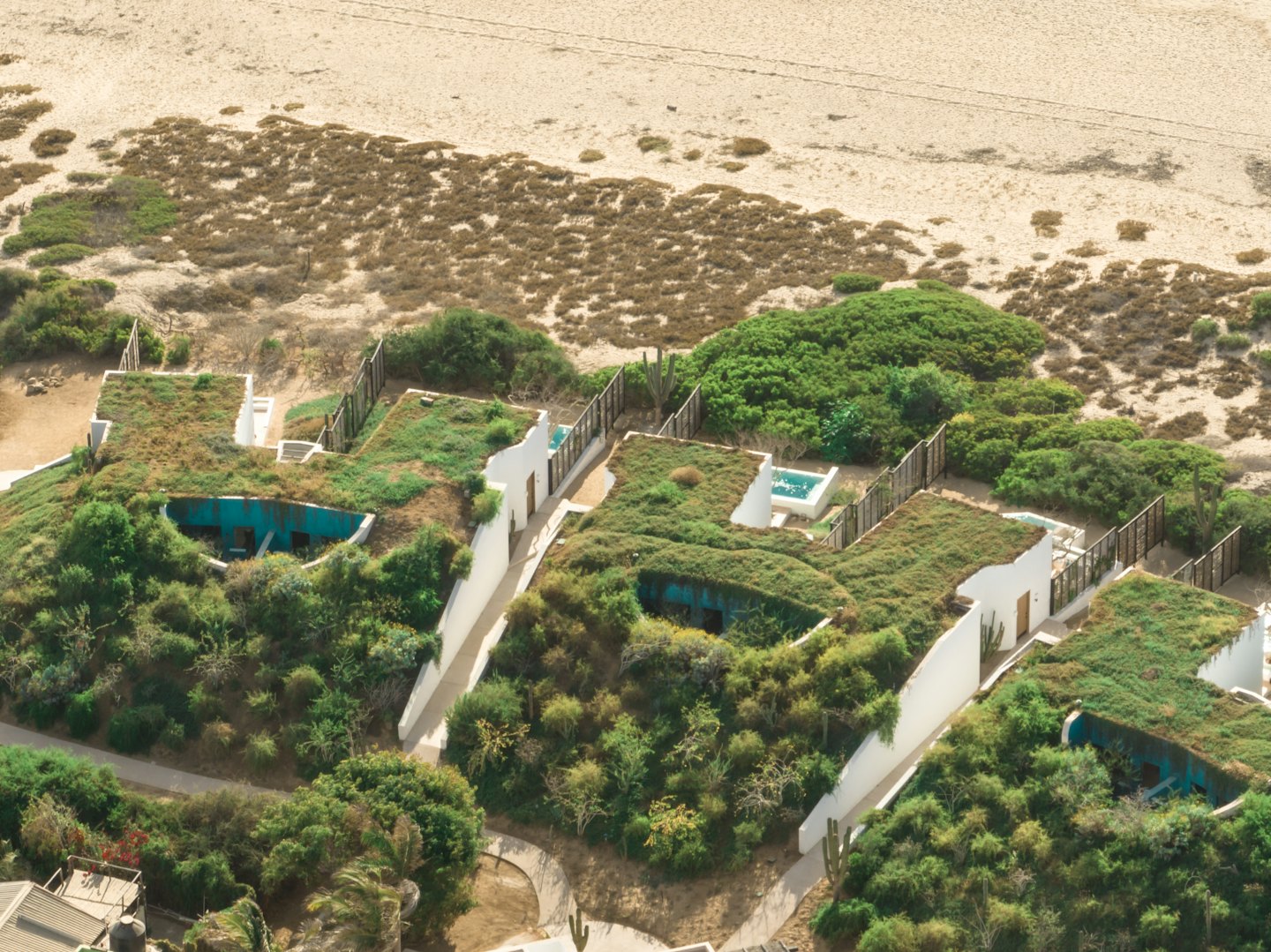Edificios de un resort ecológico con techos verdes cerca de una playa de arena.